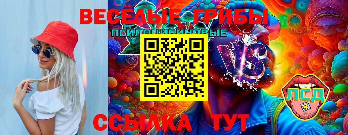 Верхний Уфалей  Галлюциногенные грибы Cubensis  Вход с VPN  Псилоцибиновые грибы MAGIC MUSHROOMS 