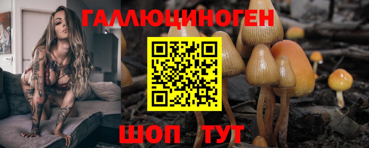 Псилоцибиновые грибы ЛСД Верхний Уфалей